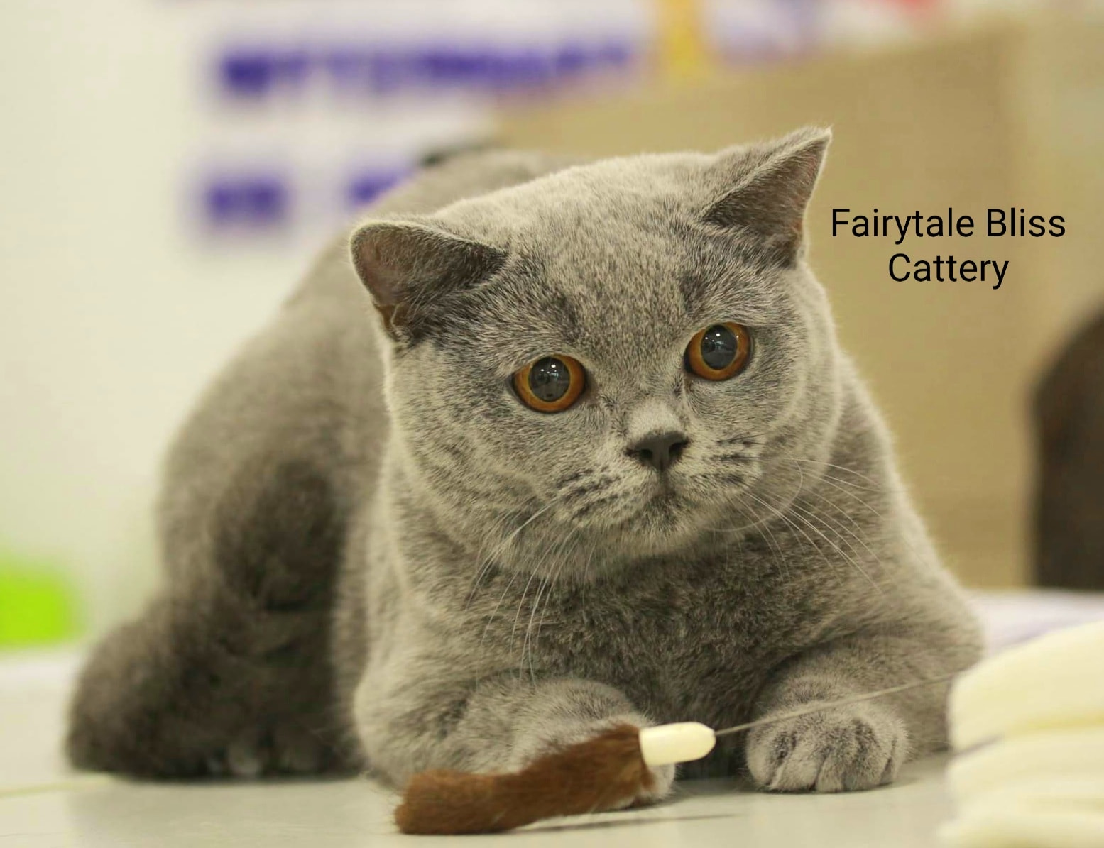 472714291_1159272165622759_8064020386457683553_n